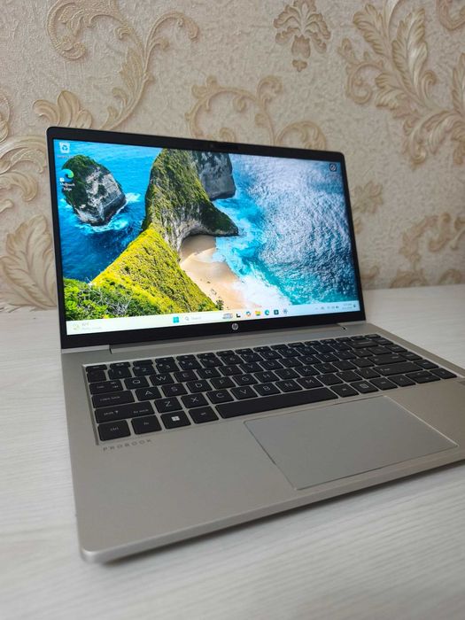 HP ProBook 445 G8
