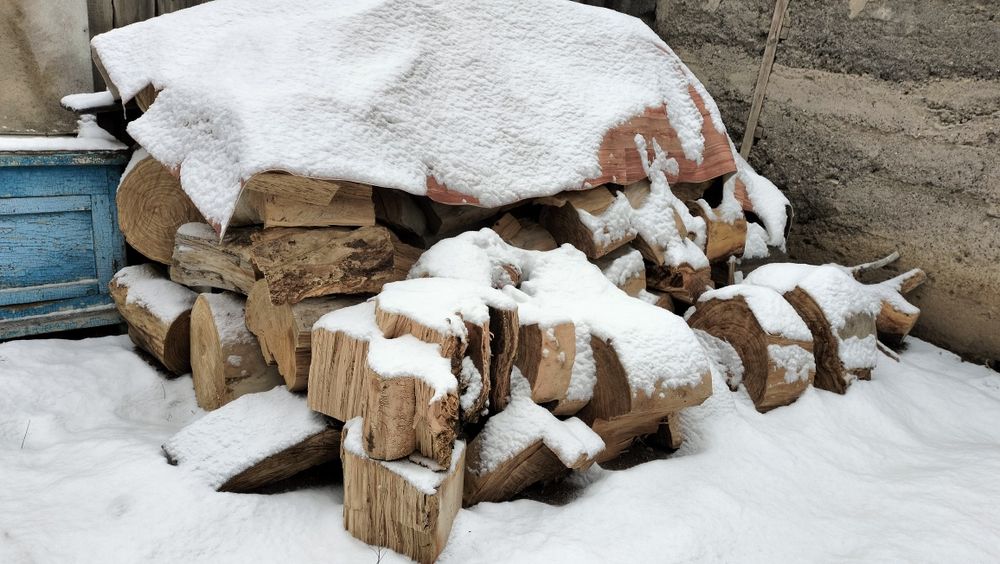 Продам дрова карагач