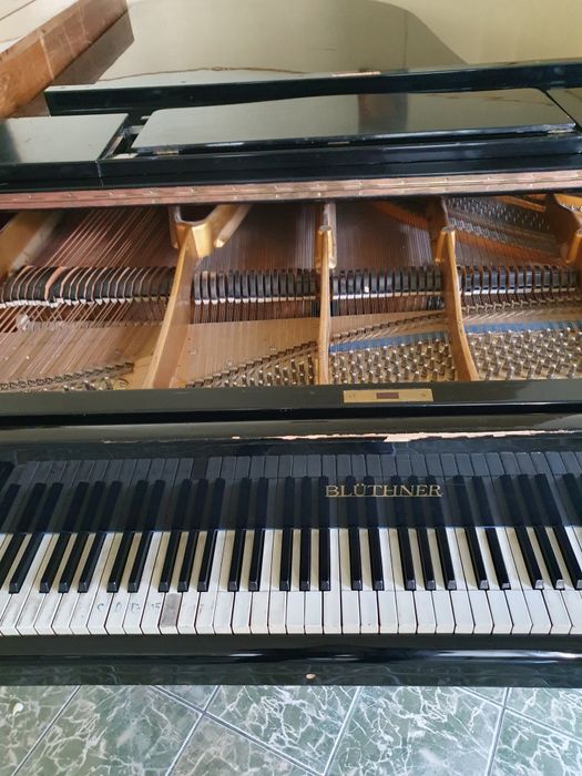 Pian de concert Bluthner.