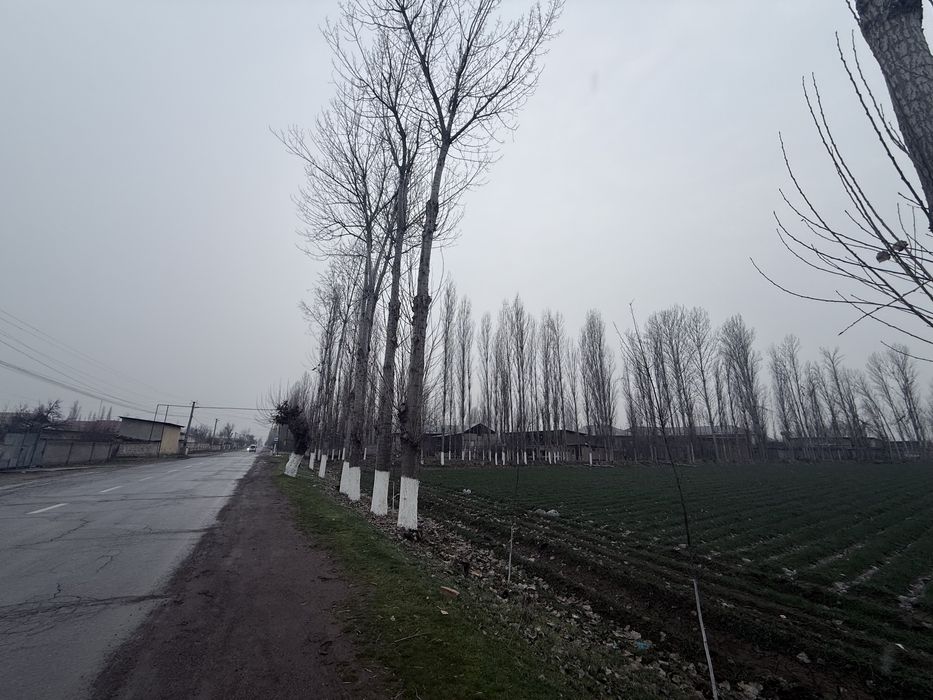 Терак сотилади | Terak sotiladi срочный