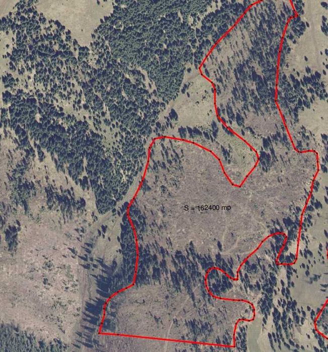 Pasune montana impadurita 16.2 ha