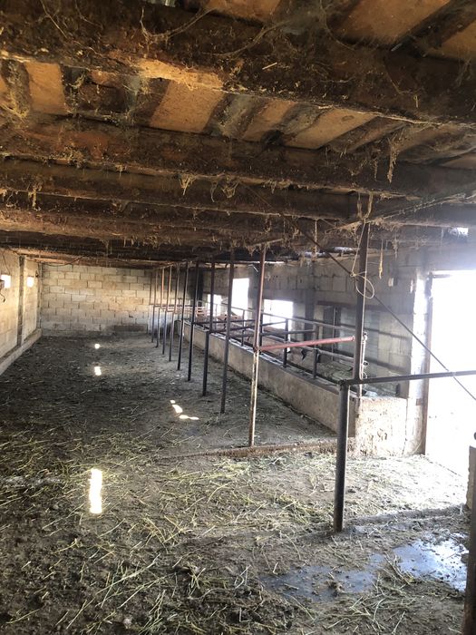 Фазенда Сатылады Откорм Баз