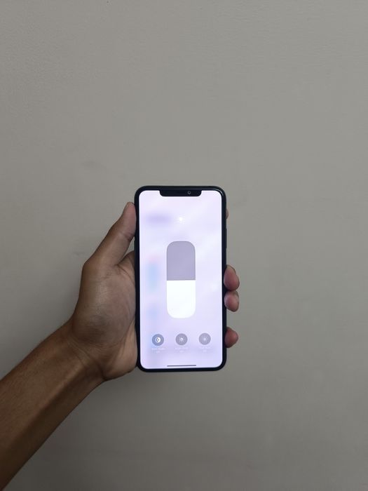 Iphone 11 pro max (256 gb)