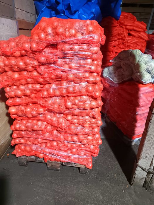 Morcovi ceapă galbenă și rosie țelină