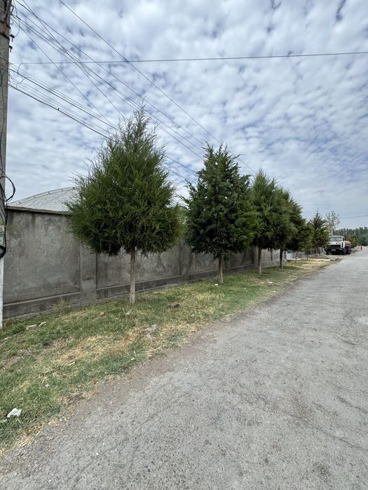 Недвижимость Политотдел