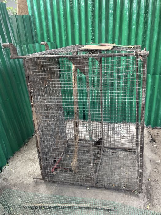 Продам клетку для птиц