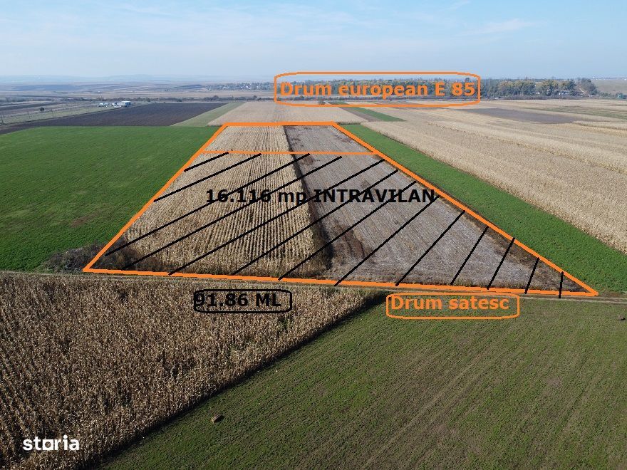 Teren Secuienii Noi /Basta 27900 mp Utilitati 92 ml Deschidere