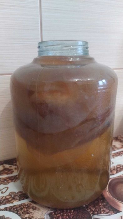 Ciuperca kefir lapte chefir apa Scoby