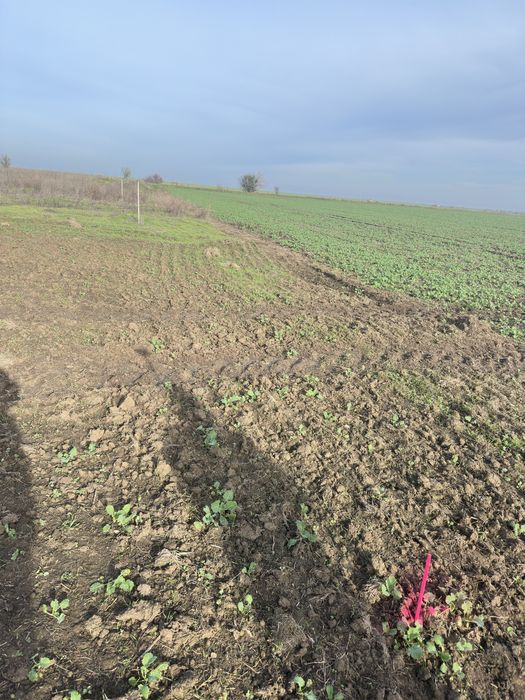 Teren CORBU – 516 mp – LOT 9 – aproape de Plaja Corbu