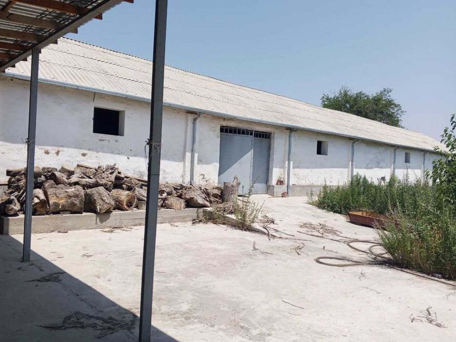Ferma  sotiladi, 13.3 sotx  40 ta buqa yoki ot boqishga mo'ljallangan