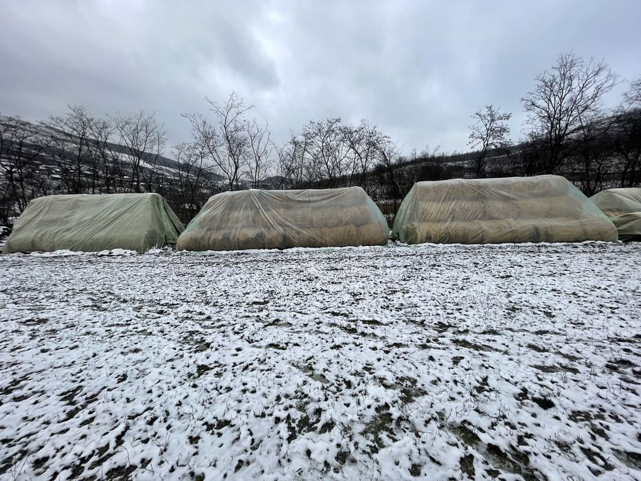 Vand graunte bine uscate 90 Baloti de lucerma 120 cu 120 bine presati