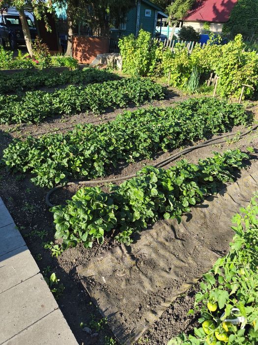 Продам дачу 131 км