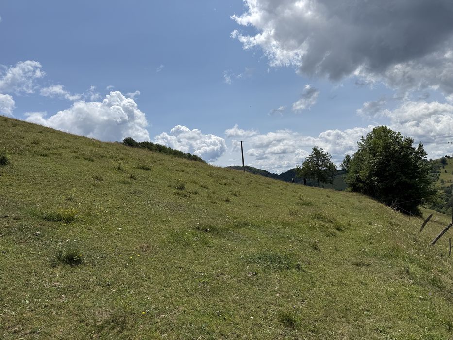 Teren de vânzare SOHODOL județul ALBA