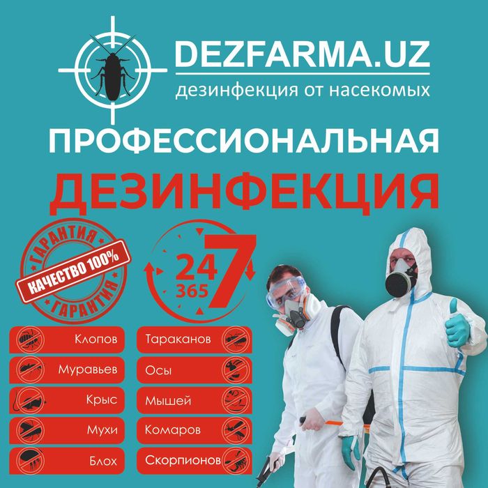Дезинфекция Дизинфекция Уничтожение клопов таракан dezinfeksiya klapa
