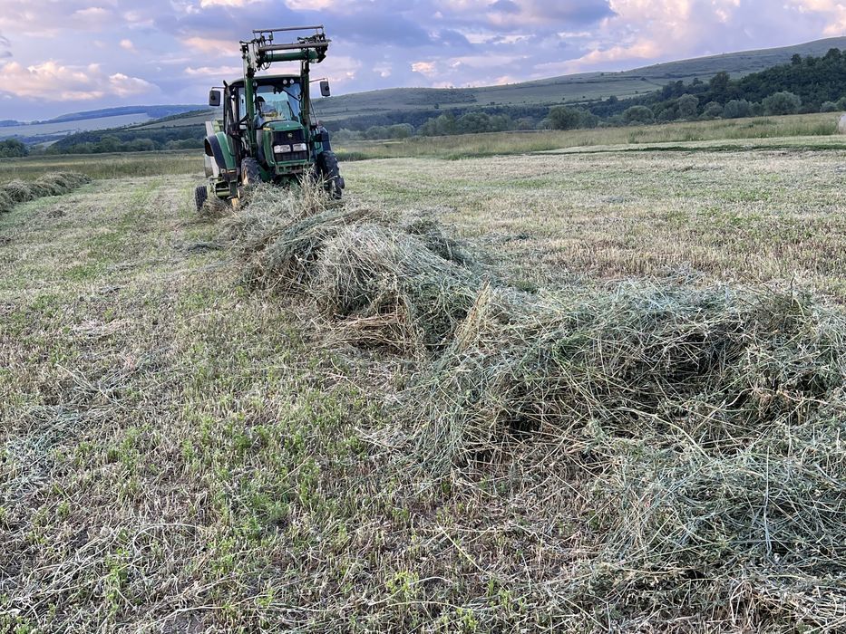 Baloti lucerna rotunzi