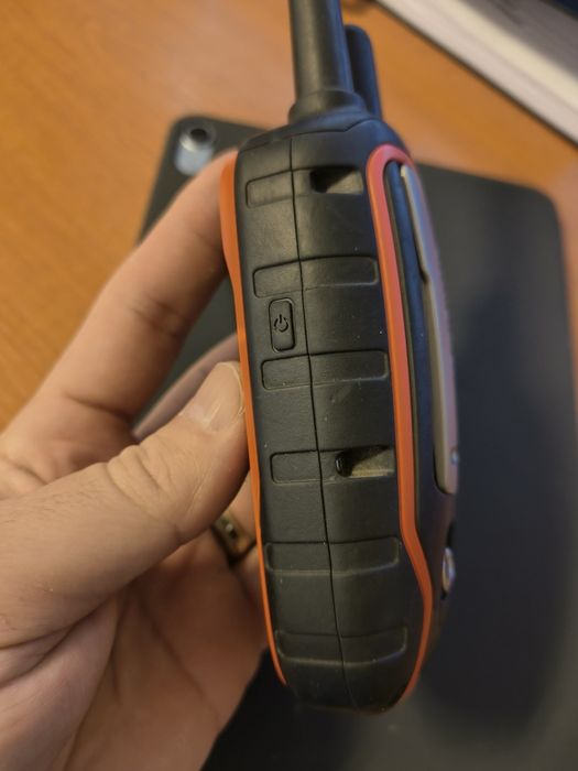 Garmina Alpha 100 dog