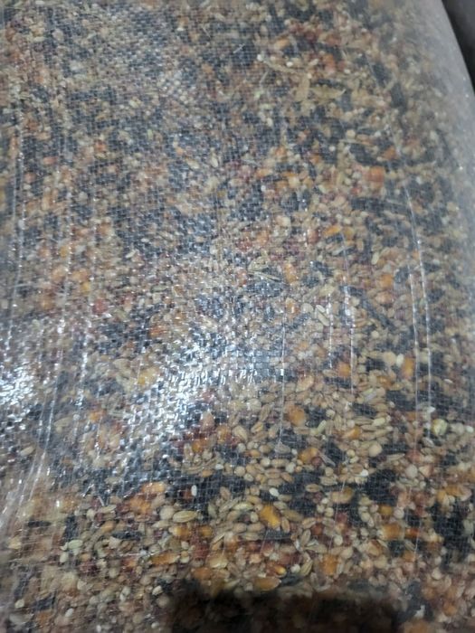 Vind amestec pentru porumbei