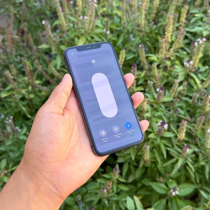 iPhone 11 Pro ideal