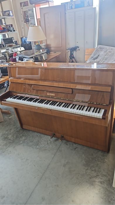 Vand pian  , EUTERPE