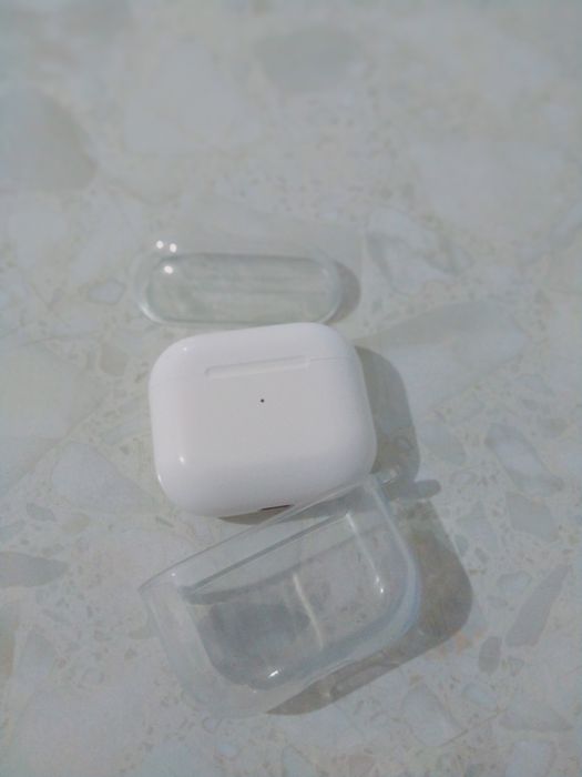 Барсетка және эрподс