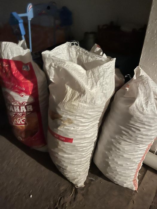 Жаңғақ, греческий орех