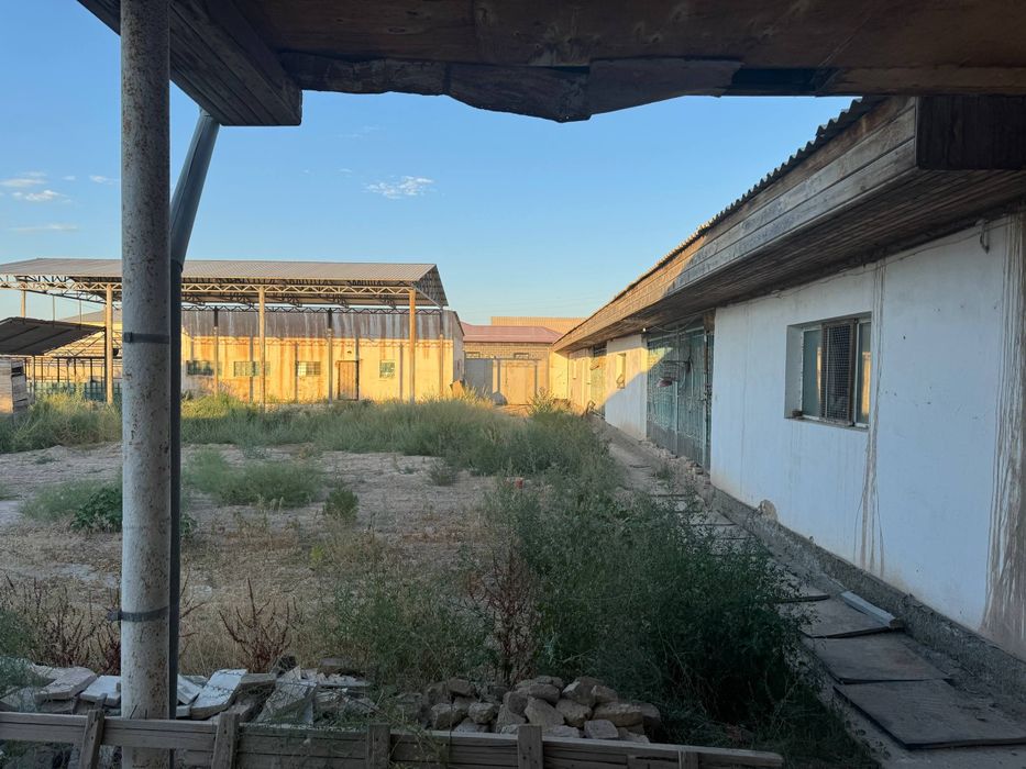 20 sotuk jer satiladi,katej quriwga zor variant.