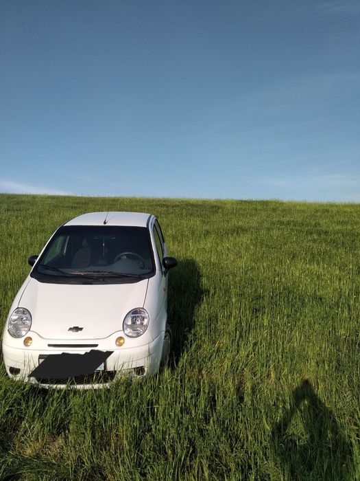 Matiz prastoy ozimiki