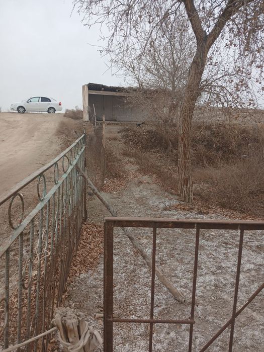 Dacha dokumentlari bor