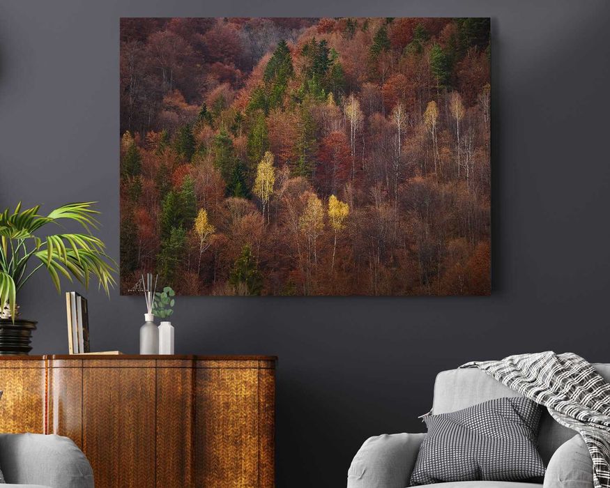 Tablouri canvas peisaje 2