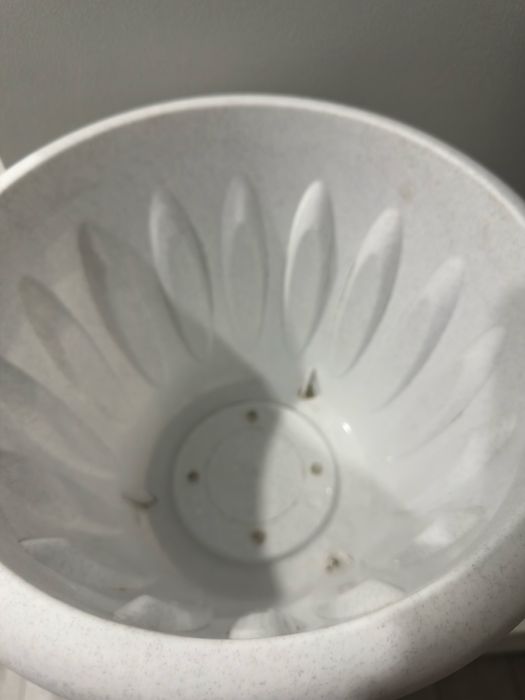 горшок для растений