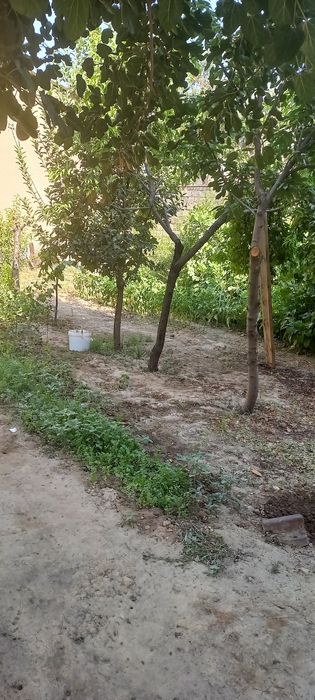 Yer 4 sutik SO'TIGI 28000