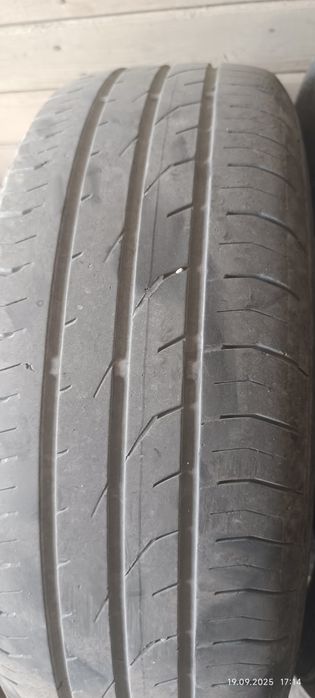 Летние шины Continental