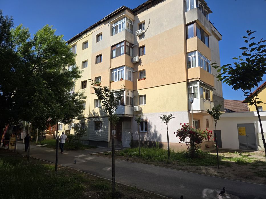Apartament 3 camere