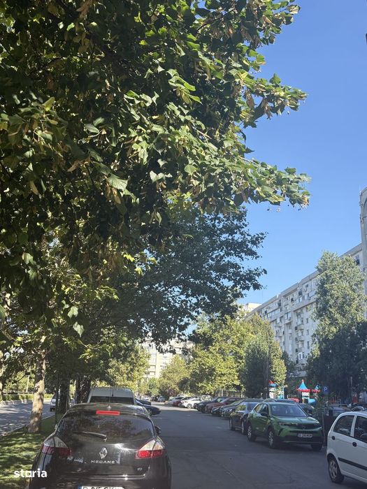 Unirii,O.Goga,ap.2 camere,et.2, 70mp,renovat,loc parcare 650Euro/luna