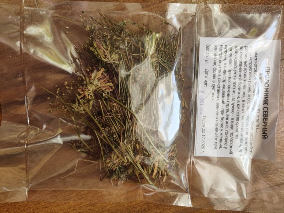 Проломник северный