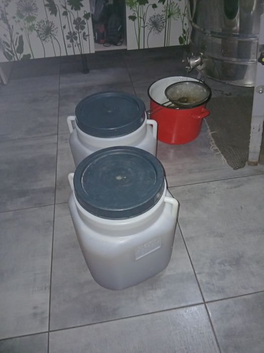 Miere albine angro