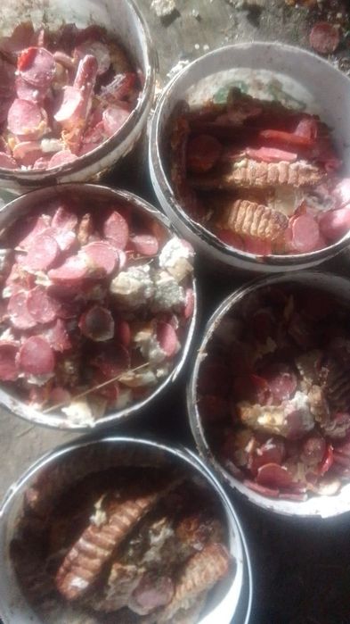 Продам мясо на корм собакам