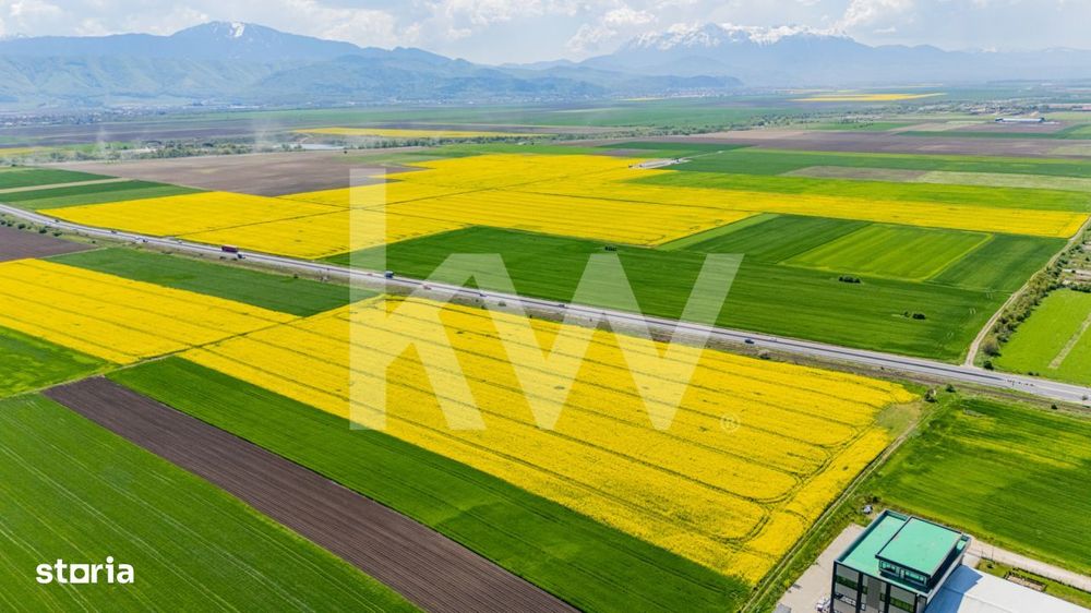 Teren 10.600 mp in Codlea – ideal pentru investitie industriala