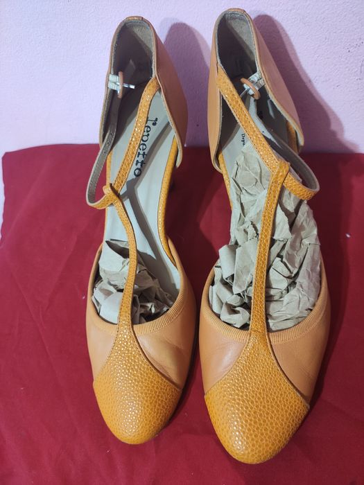 Pantofi repetto Paris