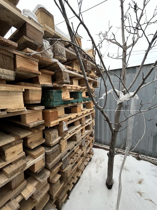 Продпю европоддоны