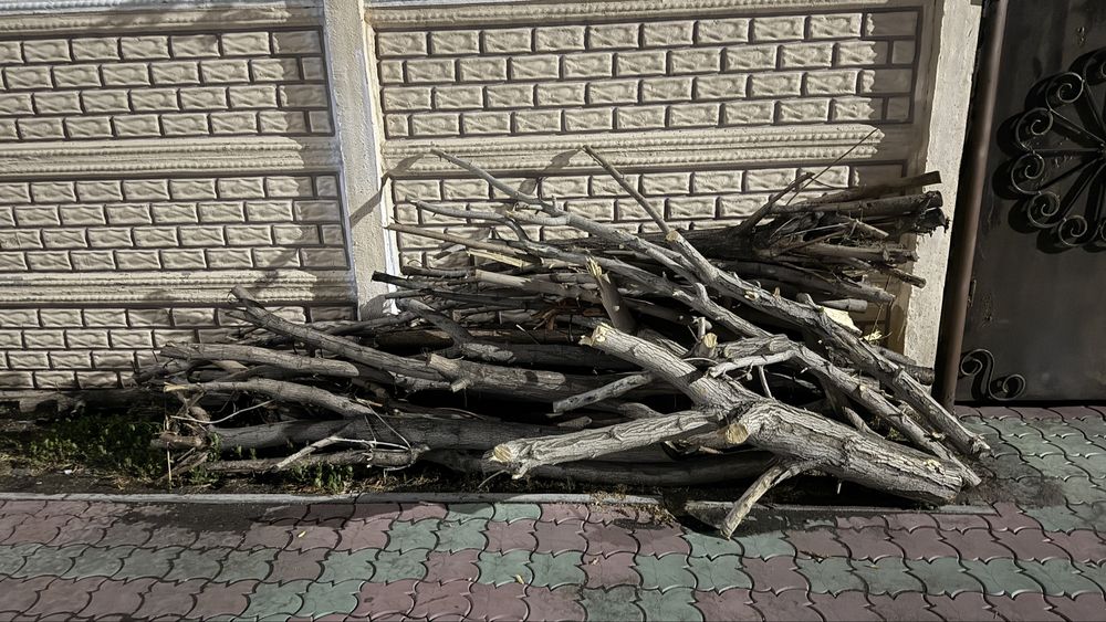 Отдам даром дерево