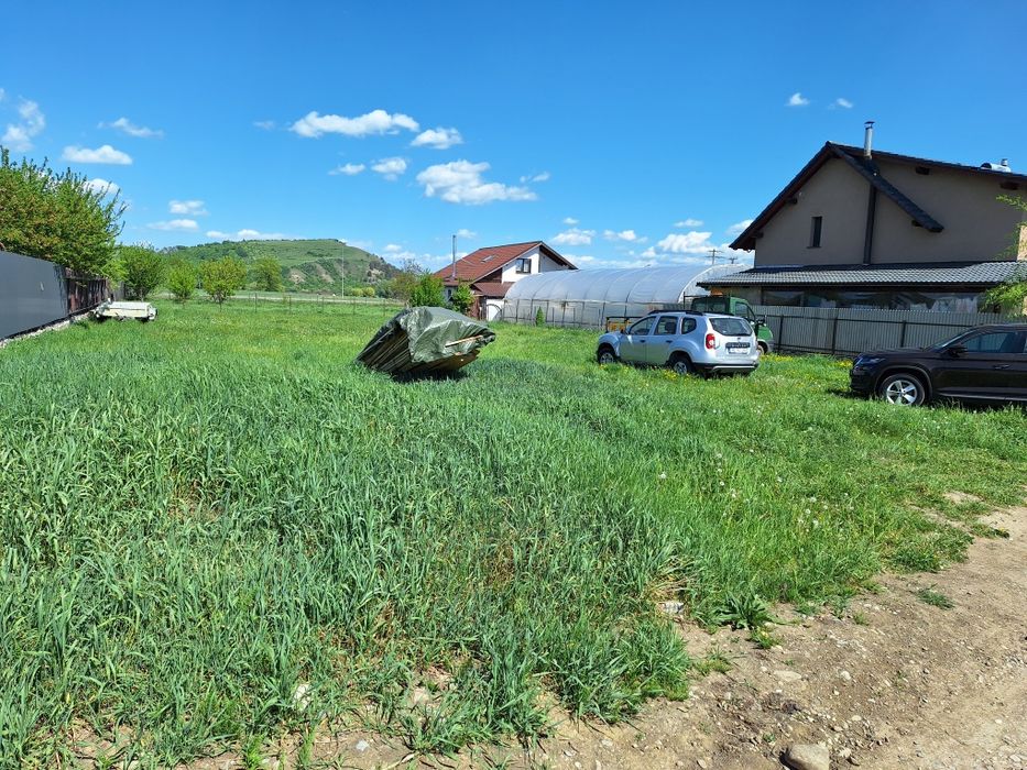 Teren intravilan bod 1000 mp