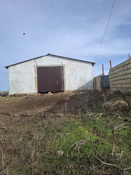 Действующее К/Х 1200гектар