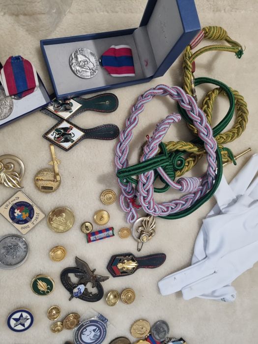 colectie insigne medalii franta legion etrangere ,legiunea straina