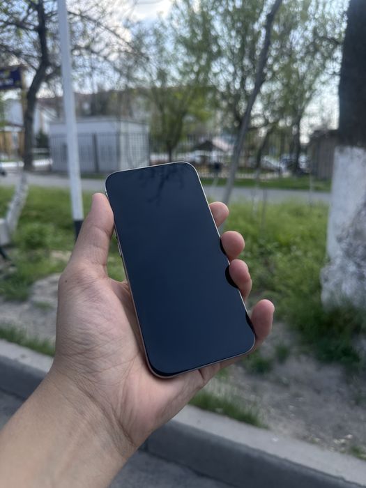 iPhone 15 Pro /128/79