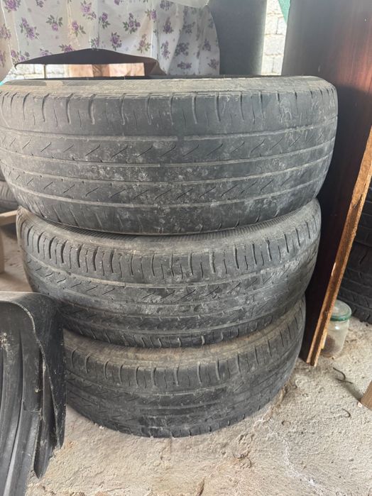 Летние шины Триангл