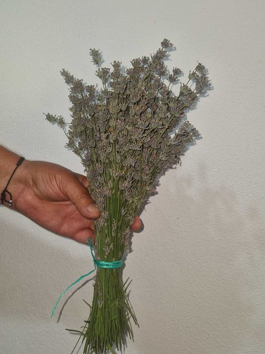 Buchete lavanda an 2026