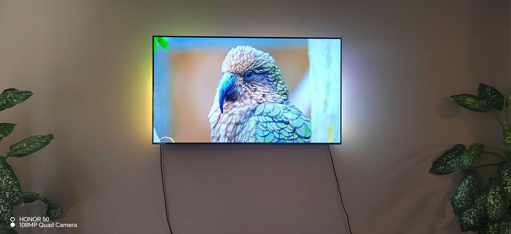Philips 55 Oled 4K