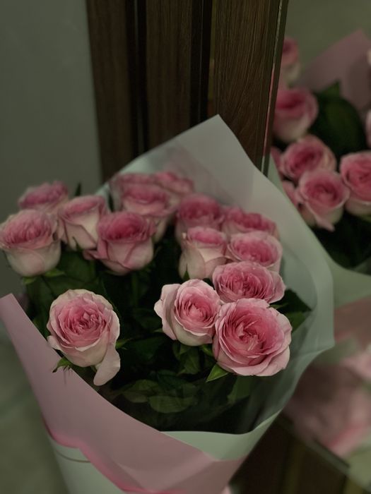 Голландские метровый розы