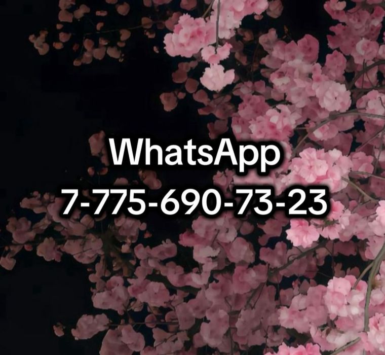 Сдаётся 1 ком на долго Биржан Сал Арбат